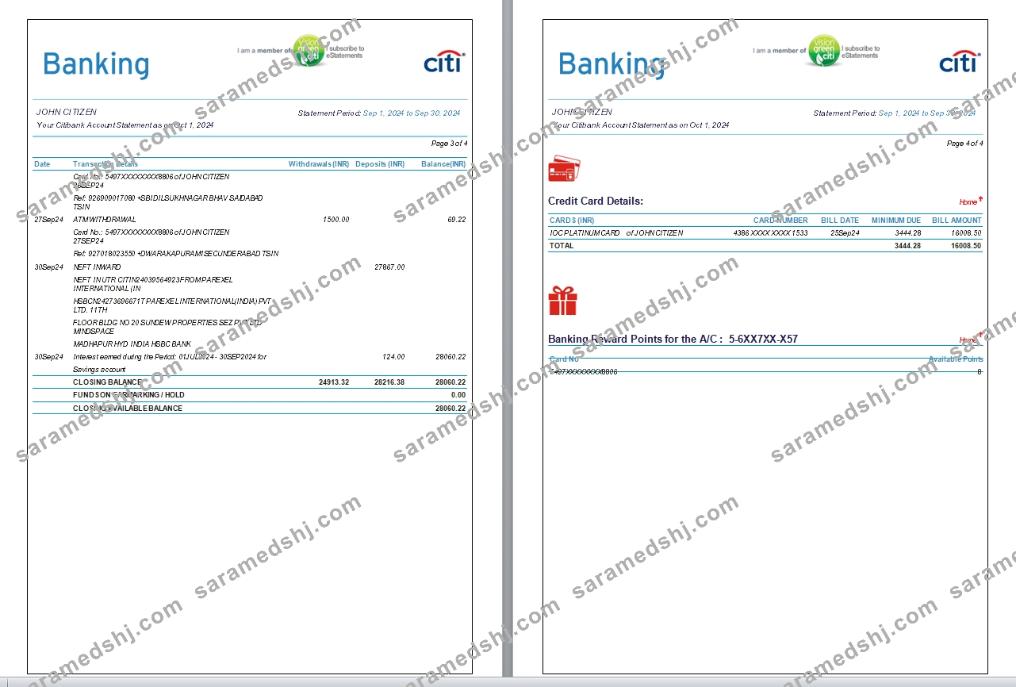 India Citibank bank statement, 6 pages, 3-4 scr